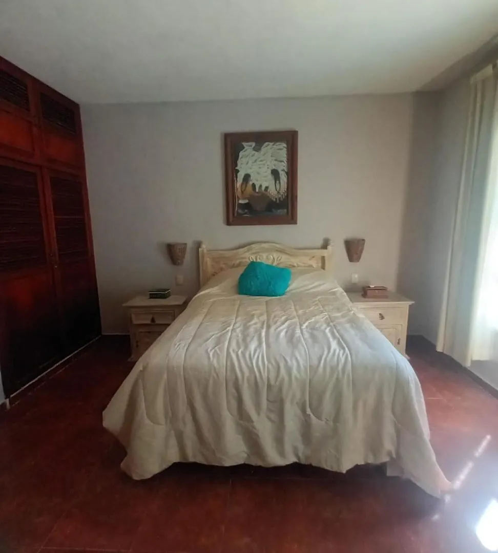 Economy hotel Hacienda San Miguel Hotel Cozumel Mexico
